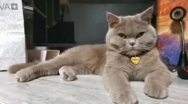 IMG_4340.jpeg