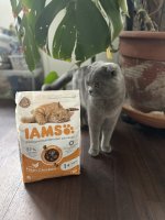 IMG_2898.jpeg