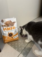 IMG_0814.jpeg