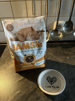 IMG_3857.jpeg