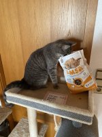 IMG_8334.jpeg