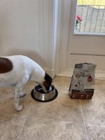 IMG_7204.jpeg