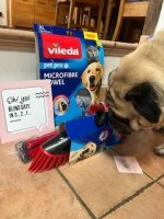 IMG_2947.jpeg