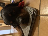 IMG_7188.jpeg