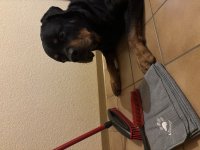 IMG_7178.jpeg