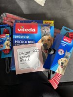 IMG_0742.jpeg