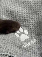 IMG_7605.jpeg