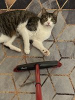 IMG_7569.jpeg