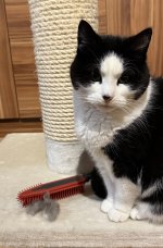 IMG_7546.jpeg