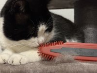 IMG_7504.jpeg