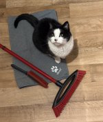 IMG_7491.jpeg