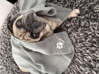 IMG_6465.jpeg