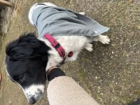 IMG_9084.jpeg