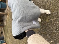 IMG_9085.jpeg