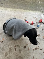 IMG_2908.JPEG