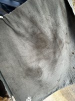 IMG_2911.JPEG