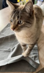 IMG_5885.jpeg