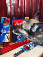 IMG_1107.jpeg