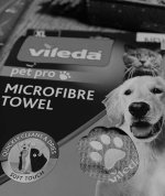 IMG_7405.jpeg