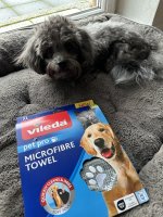 IMG_5713.jpeg