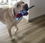 IMG_0780.jpeg