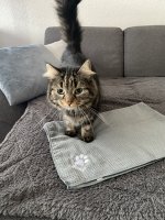 IMG_6380.jpeg