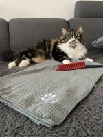 IMG_6372.jpeg