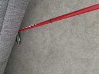 IMG_7943.jpeg