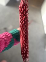 IMG_7944.jpeg