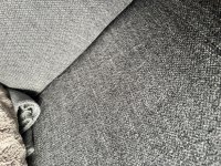 IMG_7945.jpeg