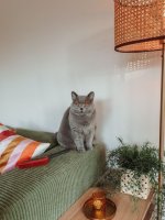 IMG_4858.jpeg