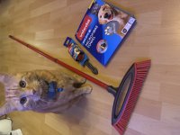 IMG_4055.jpeg