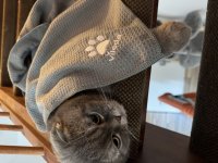 IMG_1212.jpeg