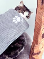 IMG_1133.jpeg