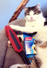IMG_1046.jpeg