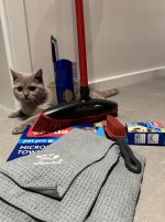 IMG_6726.jpeg