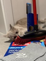 IMG_6724.jpeg
