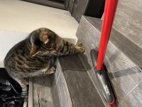 IMG_0308.jpeg