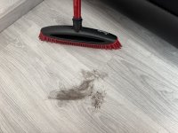 IMG_0509.jpeg