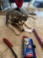 IMG_9062.jpeg
