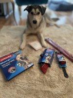 IMG_9056.jpeg