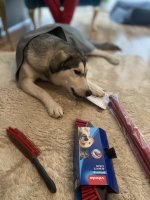 IMG_9063.jpeg