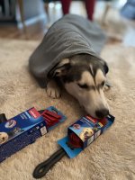 IMG_9061.jpeg