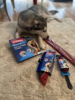 IMG_9057.jpeg