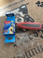 IMG_2211.jpeg