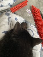 IMG_9846.jpeg