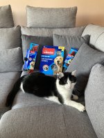 IMG_2410.jpeg