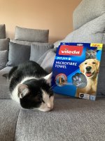 IMG_2416.jpeg