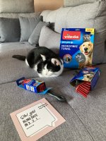 IMG_2421.jpeg