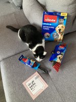 IMG_2422.jpeg